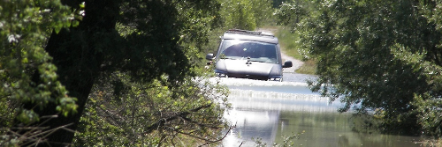 Offroad-Bulli