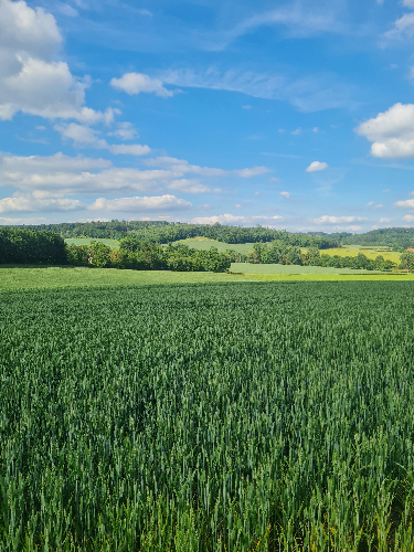 Wandern zum Klütturm