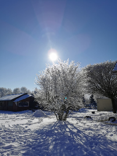 Spaziergang im Schnee