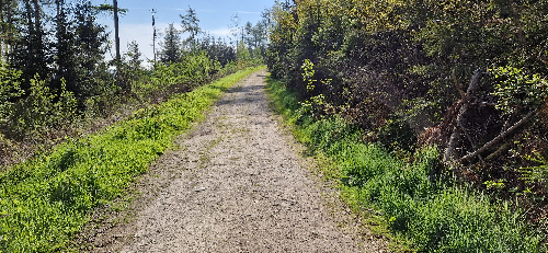 Wanderung zum Hermannsdenkmal 