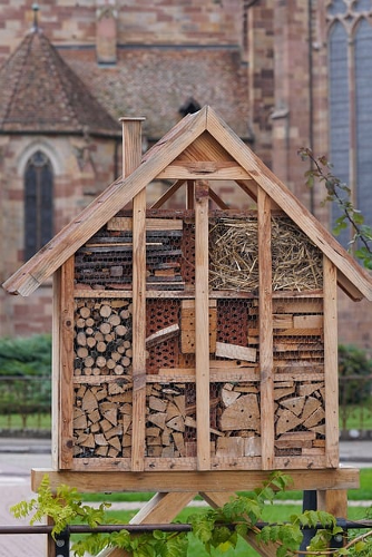 Insektenhotel selber bauen