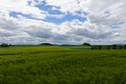 Kulturweg Oberlausitz