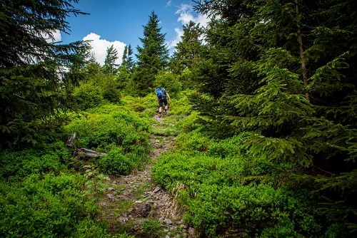 Der Rennsteig-Höhenweg