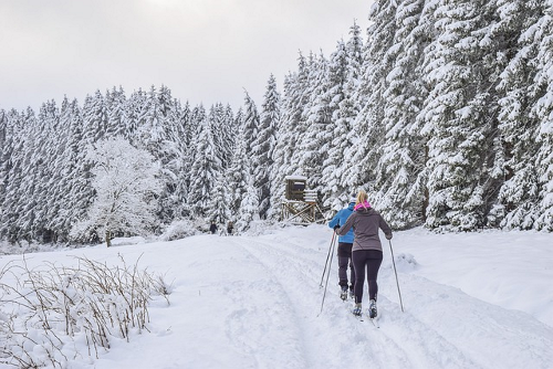 Skifahren für Anfänger