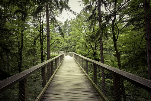 Wandern im Harz