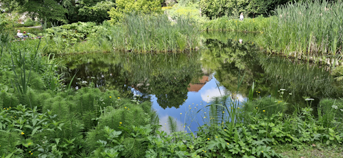 Botanischergarten