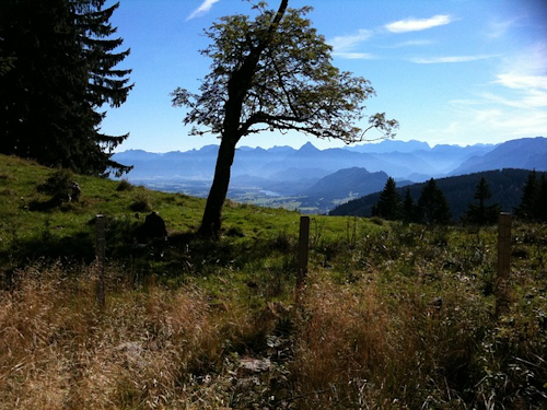 Das Ammergebirge: Eine Naturschönheit im Herzen Bayerns
