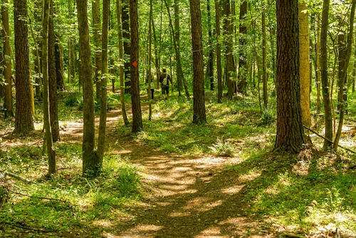 Der Entdeckerweg in Birnbach