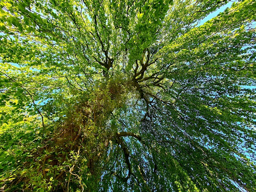 Der Willmarser Wanderweg