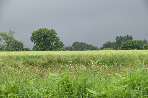 Häubchen-Tour bei Breitscheid
