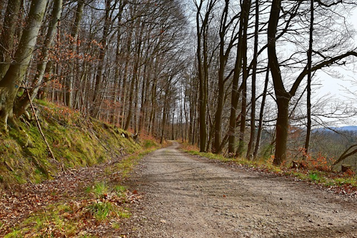 Stollenweg: Kroppacher Schweiz