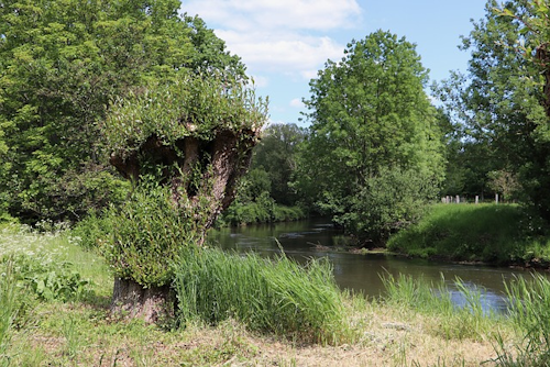 Wanderabenteuer im Tal der Nister