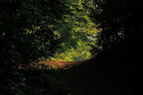 Der Leidersbach Räuberpfad