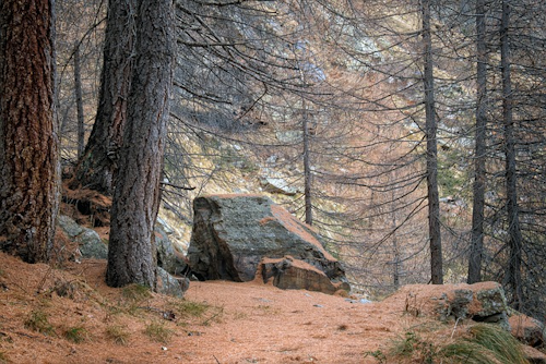 Hochtal Steig in Bernau