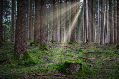 Höhenweg im Naturpark Altmühltal
