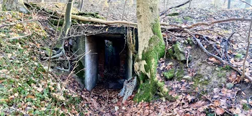 Panzerübungsplatz im Süntel – Wandern mit Geschichte