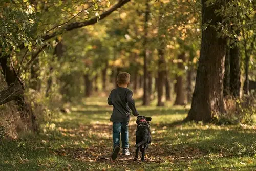 Wandern mit Hund – Der Guide für ein sicheres Abenteuer